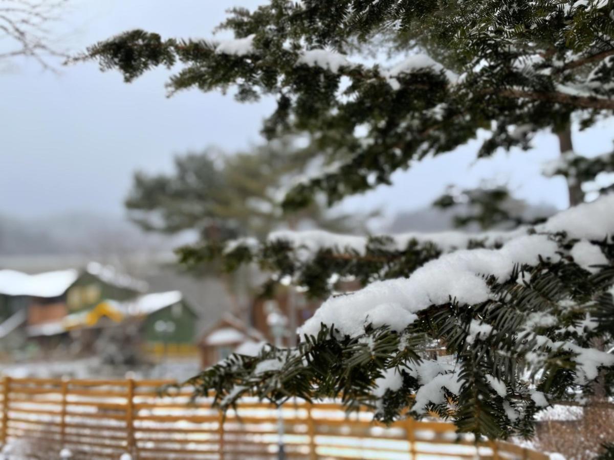 Honey Bear Pension Pyeongchang Buitenkant foto